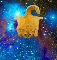 Image result for Cat Galxy