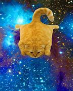 Image result for Galaxy Cat Screensaver