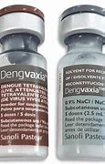 Image result for Dengue Fever Vaccine