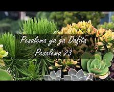 Image result for Pesalema 23 in Setswana