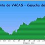 Image result for casucha