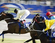 Image result for Japan Horse Racing