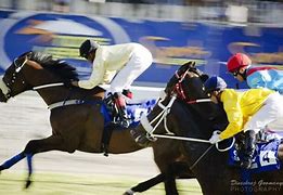 Image result for Horse Racing T-Shirts
