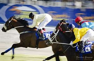 Image result for Animated Horse Racing