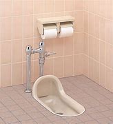 Image result for Squat Toilet Seat