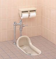 Image result for Japanese Squat Style Toilet