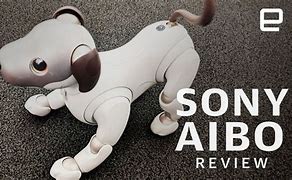 Image result for Aibo Robot Dog Tricks