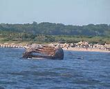 Image result for Sunken Ship at Ocean City NJ