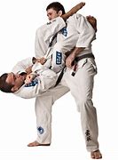Image result for Brazilian Jiu Jitsu Armbar
