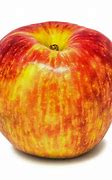 Image result for Honeycrisp Apple Variety