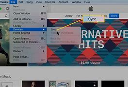 Image result for iPad iTunes Setup