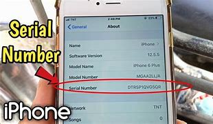 Image result for Sreial Number On iPhone 6