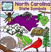 Image result for North Carolina State Symbols Map Kids