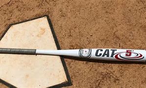 Image result for Cat Baseball Bat