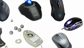 Image result for Computer Mouse Types