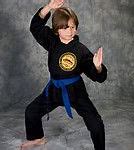 Image result for Karate Portraits
