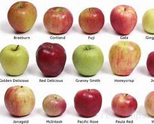 Image result for Apple 8 Plus Color
