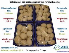 Image result for Mushroom Packaging Process