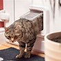 Image result for Cat Doors