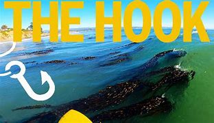 Image result for Hook Island Sea Monster