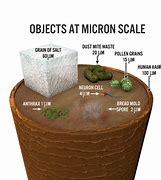 Image result for 1 Micron