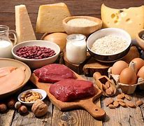 Image result for Food Contain Protein