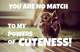 Image result for Really Cute Baby Animal with Quotes