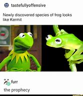 Image result for Funny Kermit Dark Side Meme