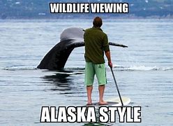 Image result for Alaska Meme Sticker