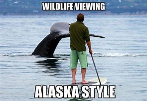 Image result for Rural Alaska Memes