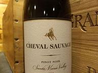 Image result for Wild Horse Pinot Noir Cheval Sauvage