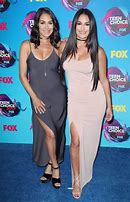 Image result for Brie and Nikki Bella Family