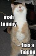 Image result for Super Happy Cat Meme