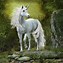 Image result for Black Unicorn