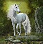Image result for Unicorn in the Wild