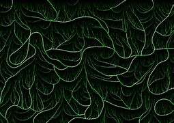 Image result for Aesthetic Vine Wallpaper Laptop