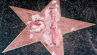 Image result for Donald Trump Shooting Stars