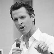 Image result for Gavin Newsom Red Carpet