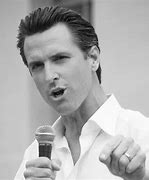 Image result for Gavin Newsom Official Portrait