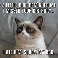 Image result for Happy Belated Birthday Cat Meme