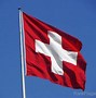 Image result for Switzerland Flag A4 Size