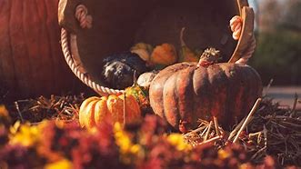 Image result for Harvest Aesthetic