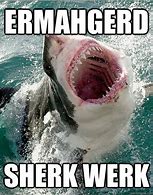 Image result for Great White Shark Funny Memes