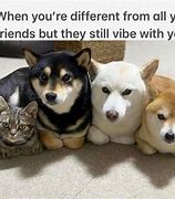Image result for Wholesome Best Friend Memes