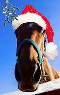 Image result for Welsh Christmas Horse Meme