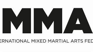 Image result for Mixed Martial Dimension Area