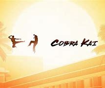 Image result for Cobra Kai Screensaver