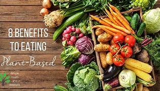 Image result for Types of Plant Based Diets