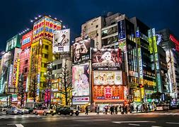Image result for Japan Anime City