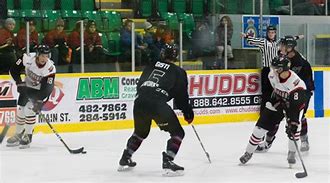 Image result for Steelers Blizzard